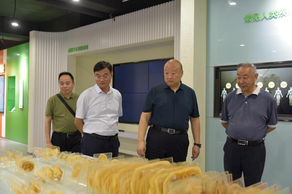 https://www.hnnvc.edu.cn/__local/8/B2/2C/D5E6010E831AFF5136B3D594D4C_F87BCA21_10AC4.jpg